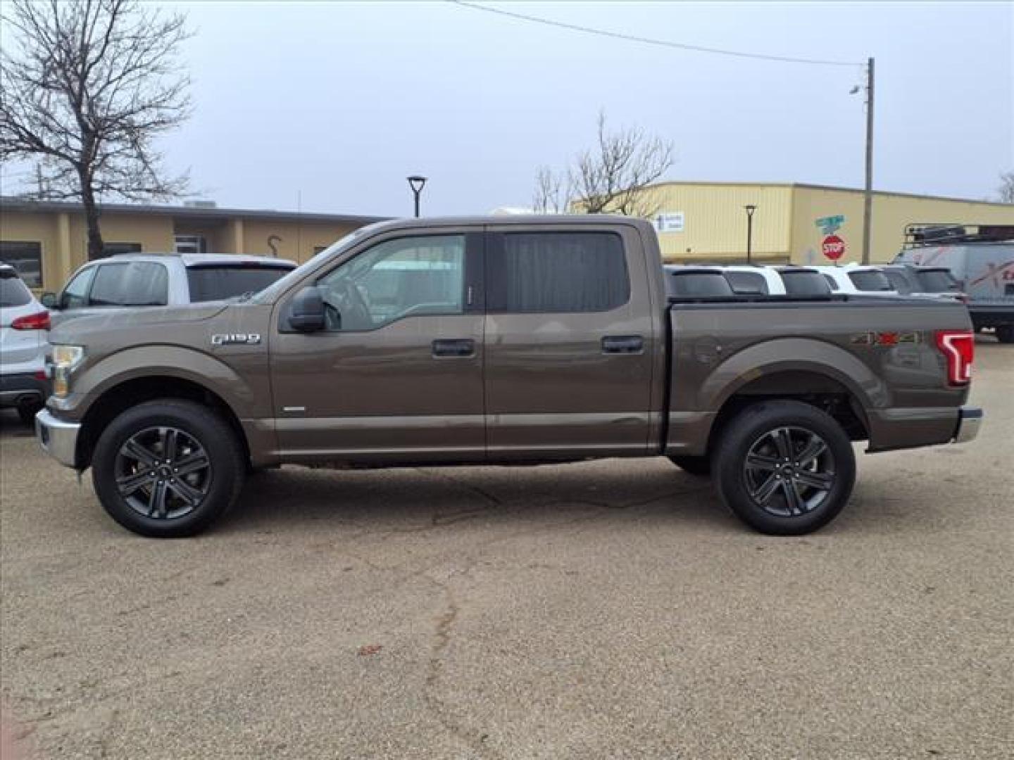 2015 Caribou Metallic H5 Ford F-150 XLT (1FTEW1EG9FF) with an 3.5L EcoBoost 3.5L Twin Turbo V6 365hp 420ft. lbs. Direct Injection engine, 6-Speed Shiftable Automatic transmission, located at 1401 N. Hobart, Pampa, TX, 79065, (806) 665-9872, 35.549953, -100.975098 - Photo#4