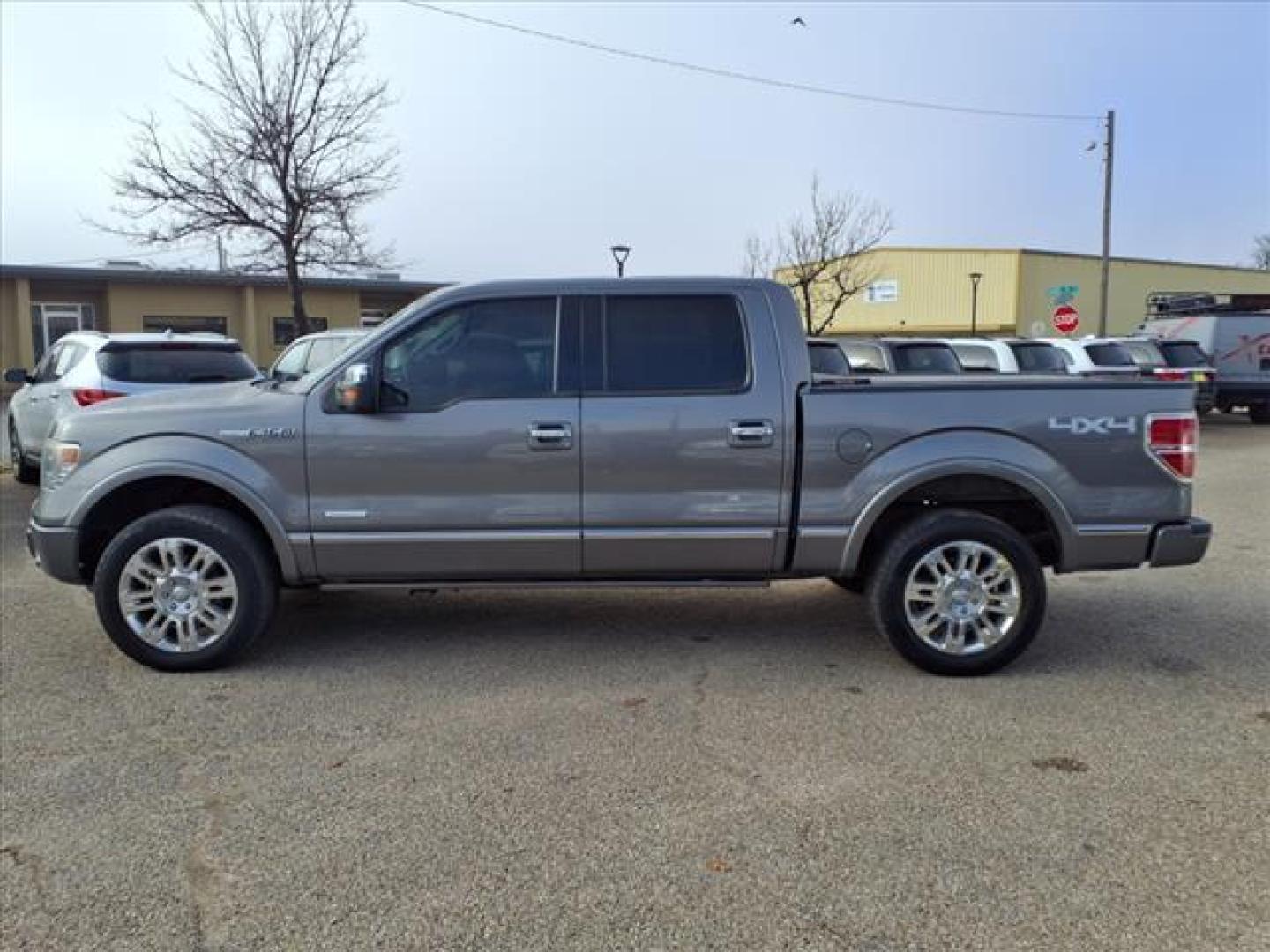 2013 Sterling Gray Metallic Uj Ford F-150 Platinum (1FTFW1ET7DF) with an 3.5L EcoBoost 3.5L Twin Turbo V6 365hp 420ft. lbs. Direct Injection engine, 6-Speed Shiftable Automatic transmission, located at 1401 N. Hobart, Pampa, TX, 79065, (806) 665-9872, 35.549953, -100.975098 - Photo#4